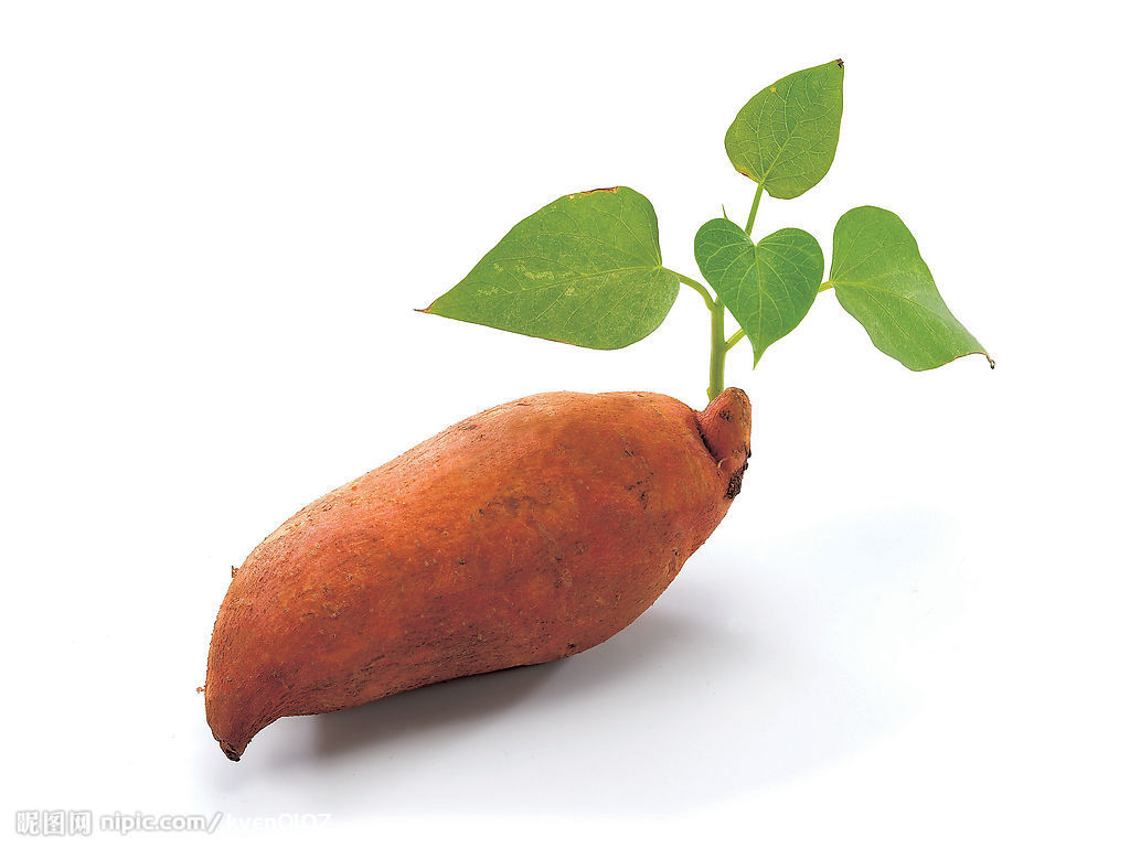 20種抗癌蔬菜 20種抗癌蔬菜